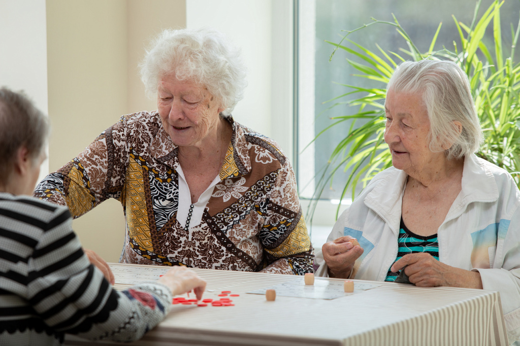 Дома престарелых в Истринском и Красногорском районах: забота и комфорт Дома престарелых в Истринском и Красногорском районах: забота и комфорт